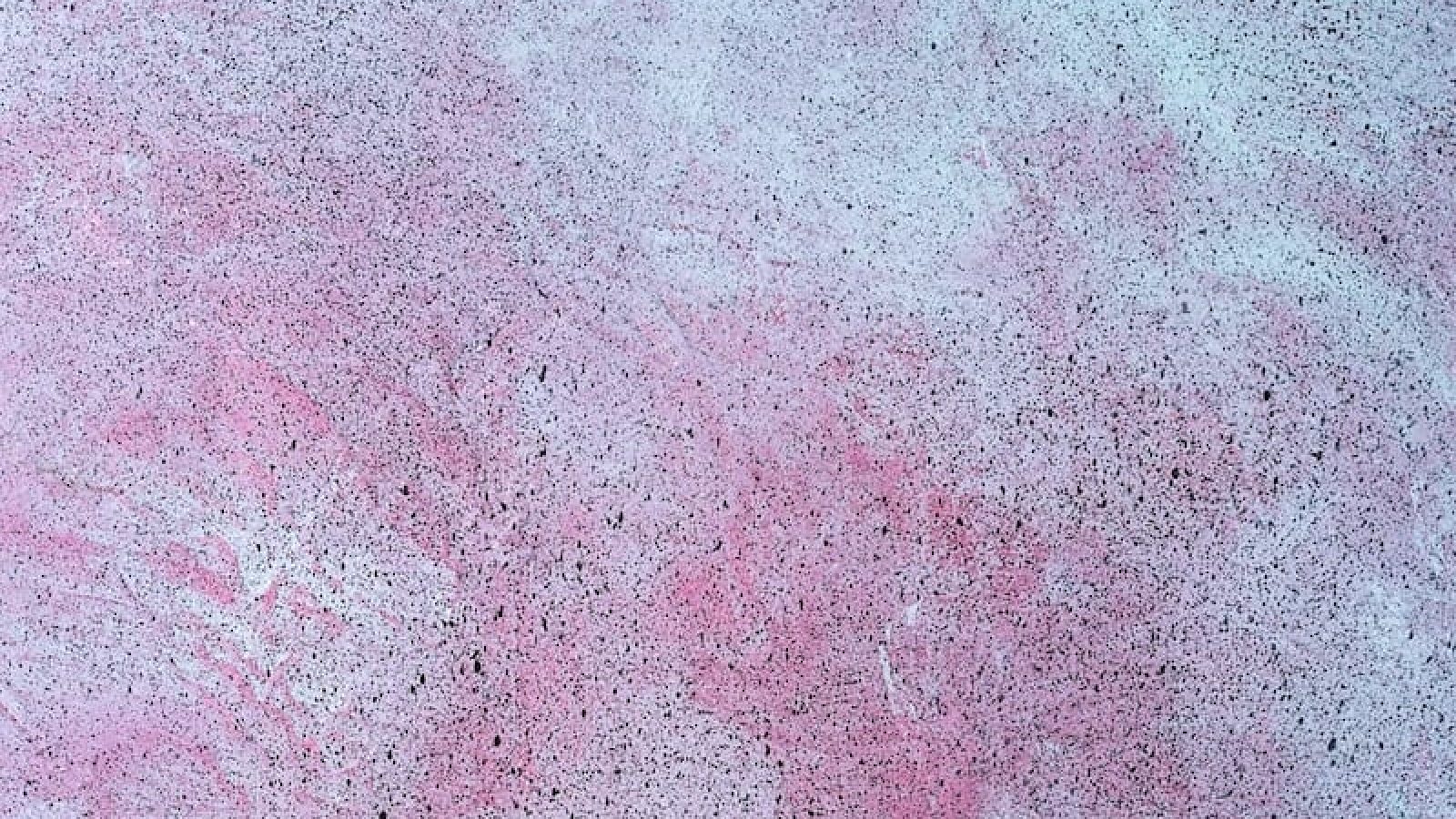 Blue pink spotted stone concrete abstract background copy space