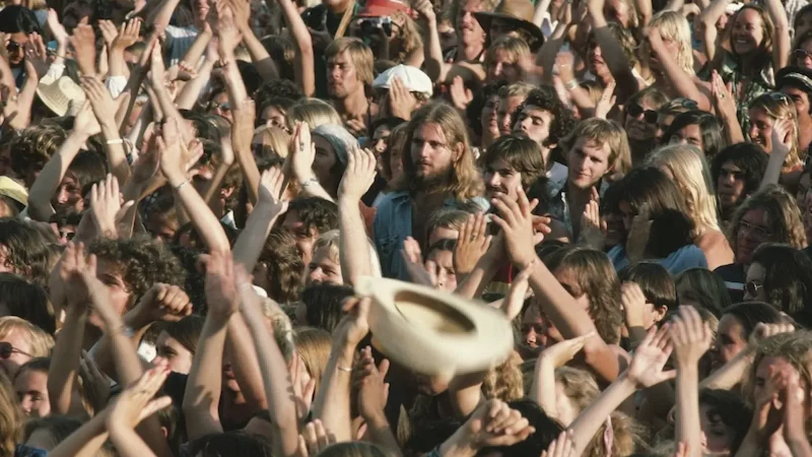 Concert Crowd